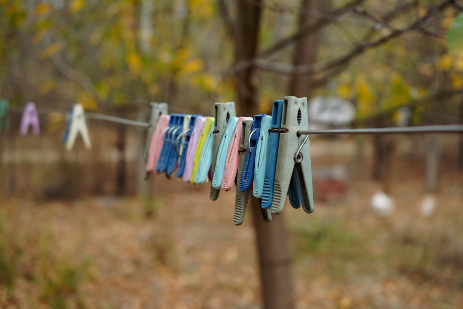 blue and white clothes pin